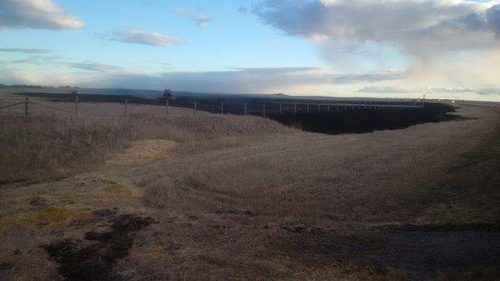 RCMP say a grass fire northeast of Calgary was ignited due to a cigarette butt on Oct. 29, 2017.