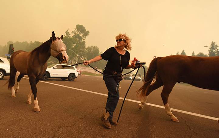 A woman evacuates horses as strong Santa Ana winds blow fire and smoke from the Canyon 2 Fire toward them on October 9, 2017 in Orange, California.