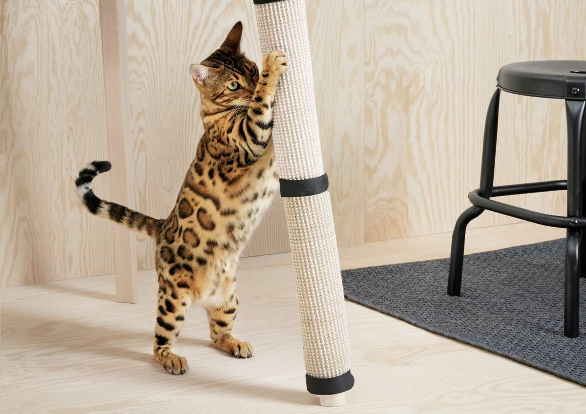 IKEA enters pet market with introduction of dozens of items for dogs and cats - image
