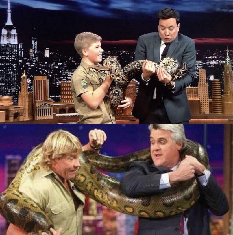 Steve Irwin’s children, Bindi and Robert, announce new nature show, ‘Crikey! It’s the Irwins’ - image