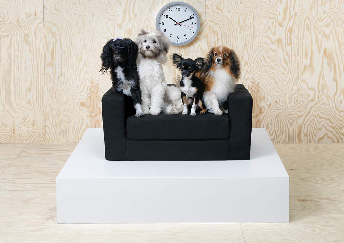 IKEA enters pet market with introduction of dozens of items for dogs and cats - image