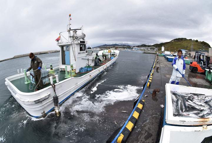 Fishermen work at a port in Erimo Town, on Japan’s northern island of Hokkaido, October 12, 2017.
