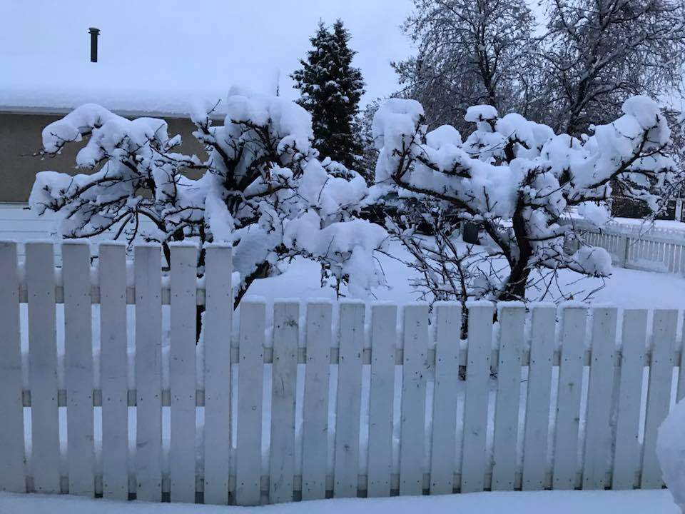 Environment Canada says between two and 10 centimetres are expected to fall.