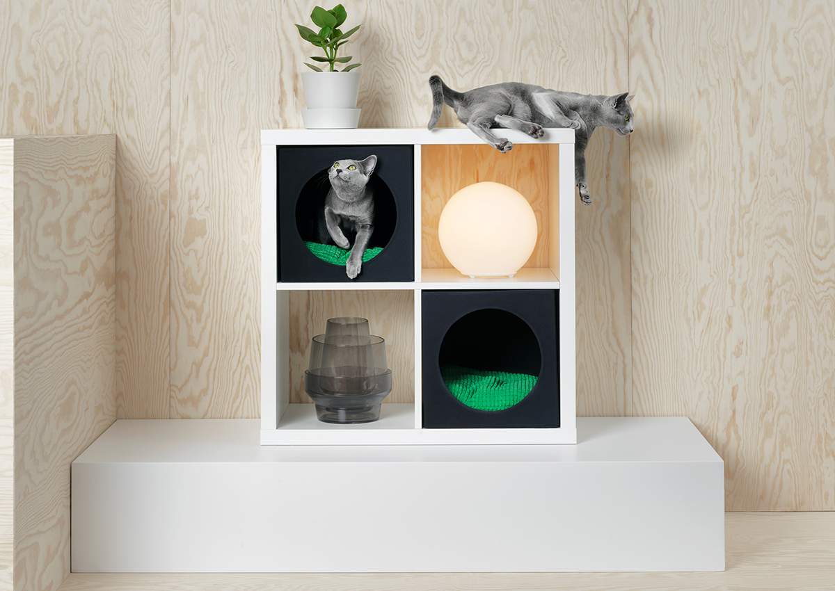 IKEA enters pet market with introduction of dozens of items for dogs and cats - image