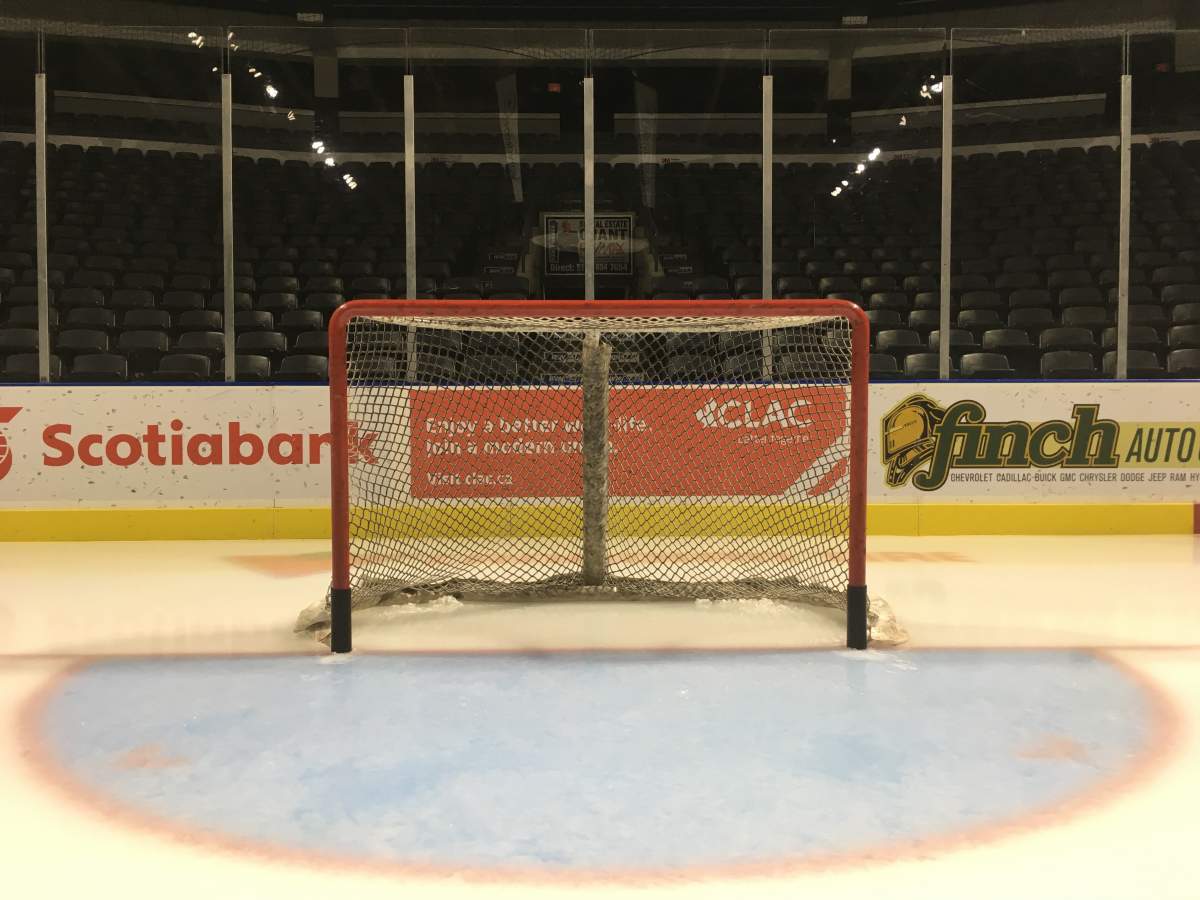 Knights get to overtime against Owen Sound and get Alex Formenton back - image