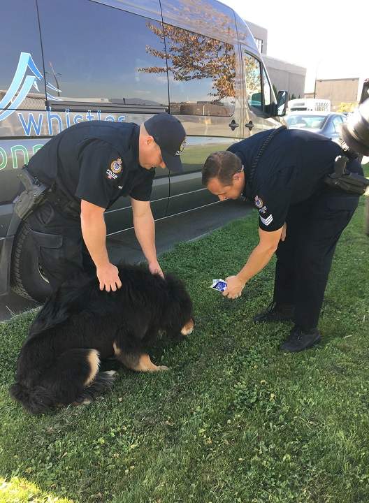 Police found Shirley safe and sound on Wednesday afternoon.