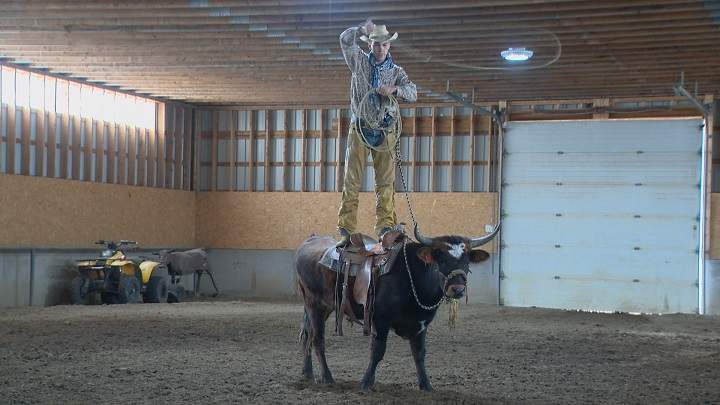 Joel Lybbert doing rope tricks on his steer, Jasper