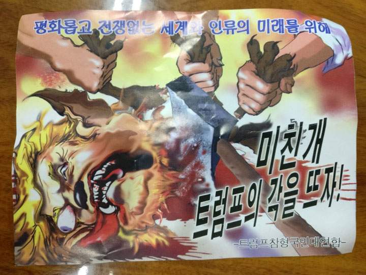 North Korean flyer