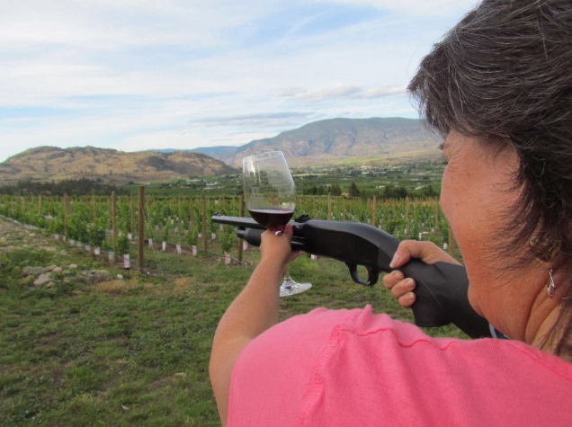 Wine advocate Sandra Oldfield shows how it’s easier to order a gun online from another province than it is a case of wine.