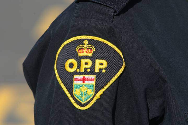 A man was arrested after allegedly stealing two guns from a Tillsonburg home.