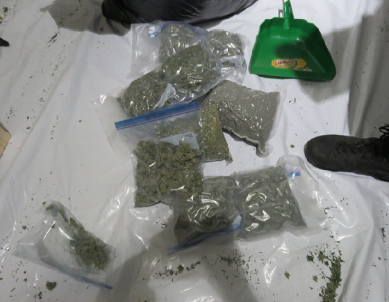 OPP seize $2.5 million in marijuana, guns, property from Kawartha Lakes grow-op - image