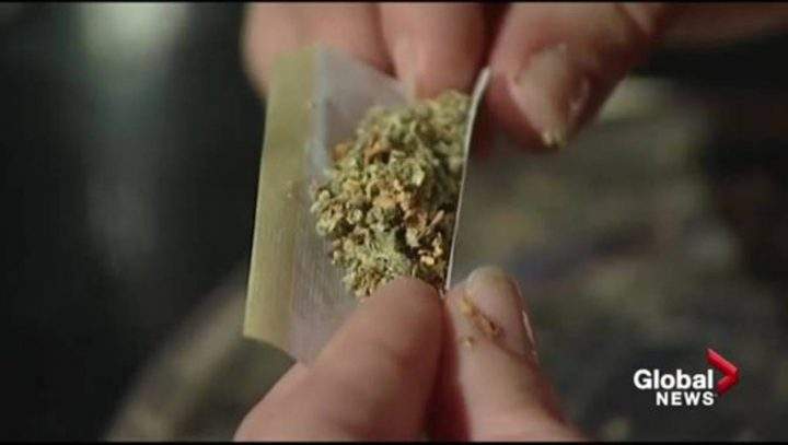 Almost half of Canadians want to delay pot legalization: poll - image