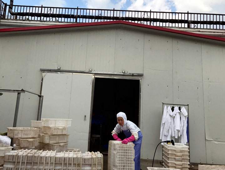 North Korean worker