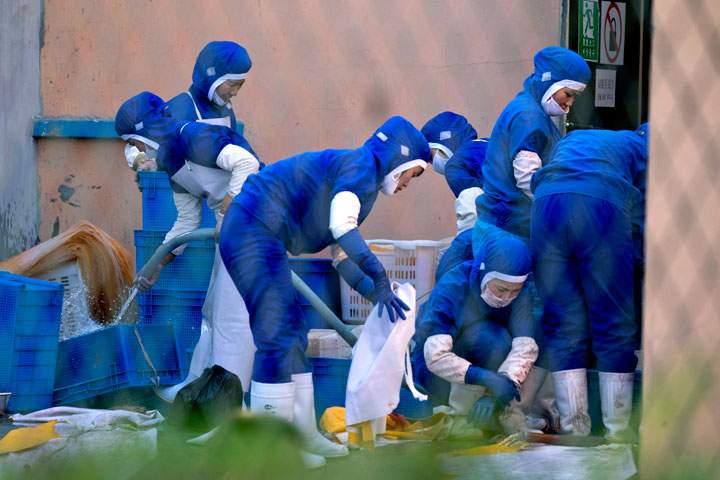 North Korean workers