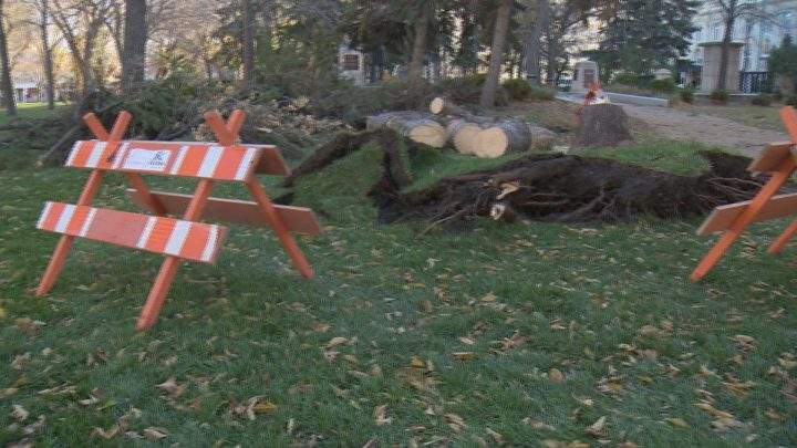 Wind caused havoc in Regina on Tuesday night after a wind storm hit southern Saskatchewan.