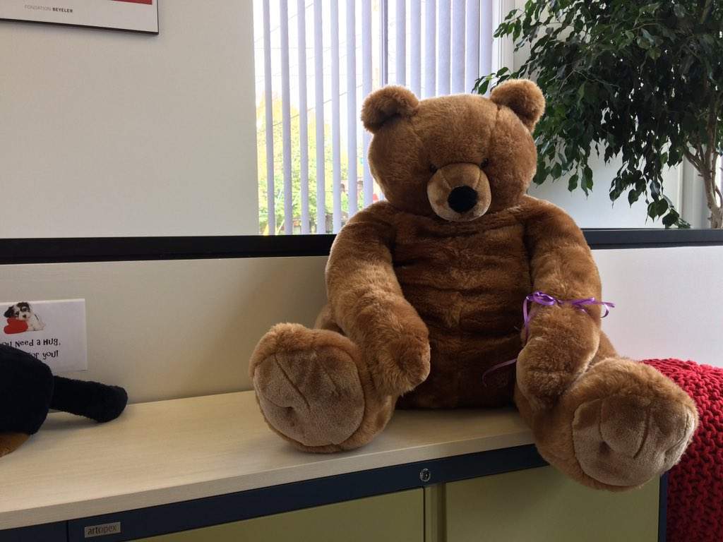 Kids who are nervous to go to their one-on-one assessments can snuggle this bear for some comfort.