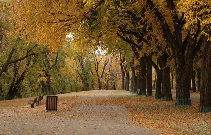 Tischa Mason took this Oct. 21 Your Saskatchewan photo in Saskatoon.