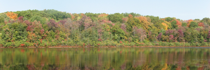 Emergency response training closes Westminster Ponds to the public - image