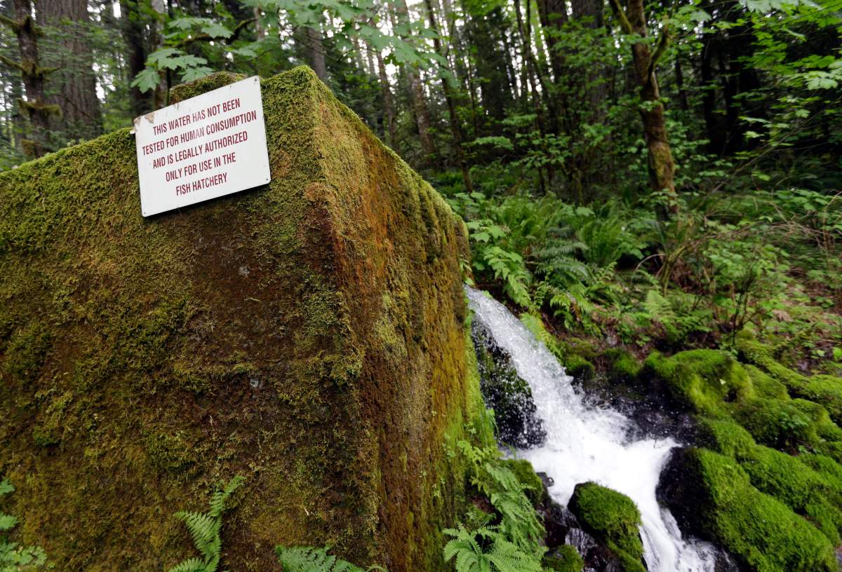 A proposal for Nestle to build a water bottling plant in Cascade Locks, Oregon, has divided the town in the Columbia River Gorge, which has a 19-percent unemployment rate.