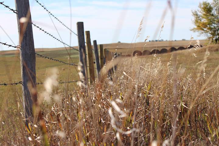 The Nov. 2 Your Saskatchewan photo was taken in Viceroy by Stephanie Schneck.