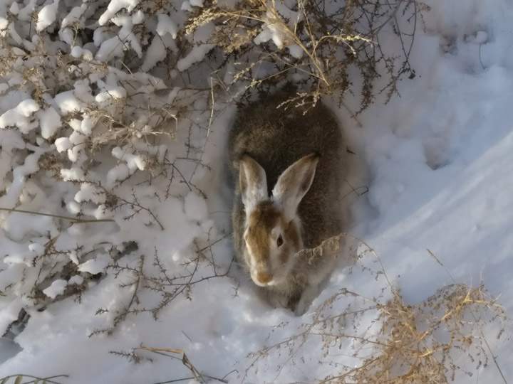 The Nov. 9 Your Saskatchewan photo was taken near Saskatoon by Jonathan Katsiris.