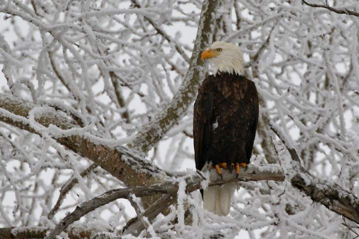 Brenda Gawluk took the Nov. 14 Your Saskatchewan photo near Lanigan.