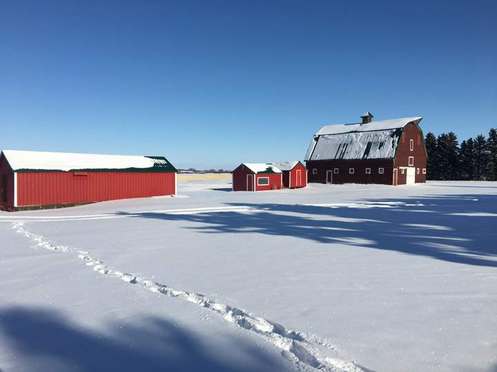 Pablo Benitez took the Your Saskatchewan photo for Nov. 16 near Conquest.