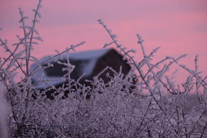 The Nov. 22 Your Saskatchewan photo was taken near Asquith by Stephanie Schneck.