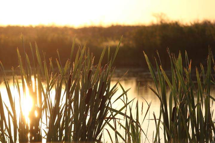 Aeran Schmid took this Nov. 5 Your Saskatchewan photo near Naicam.