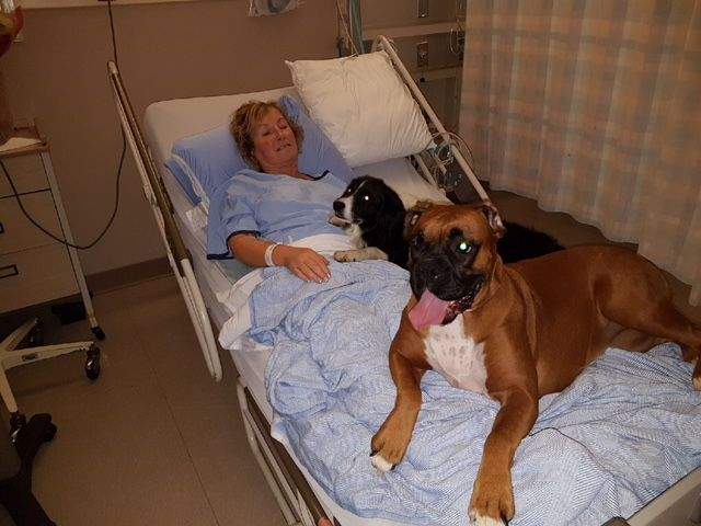 Annette Poitras with Roxy and Chloe, two dogs that were with her when she was rescued on Coquitlam’s Eagle Mountain.