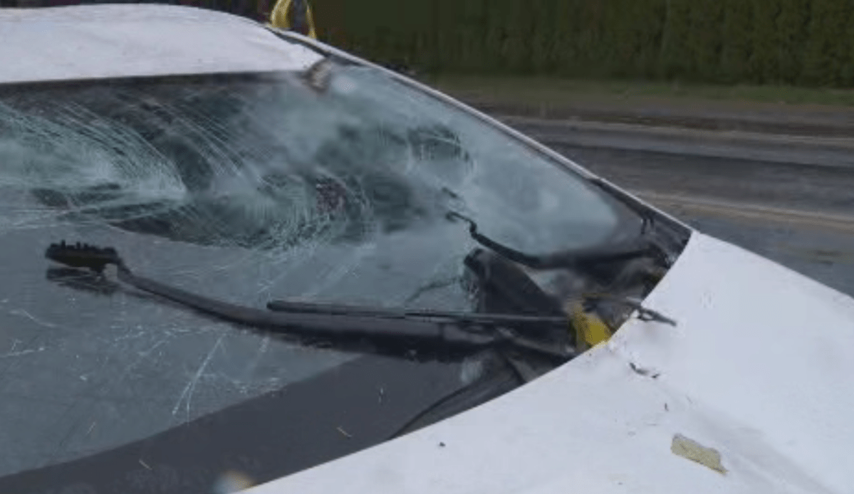 The windshield of a car after it was hit by a branch amid a windstorm in Langley on Nov. 13, 2017.