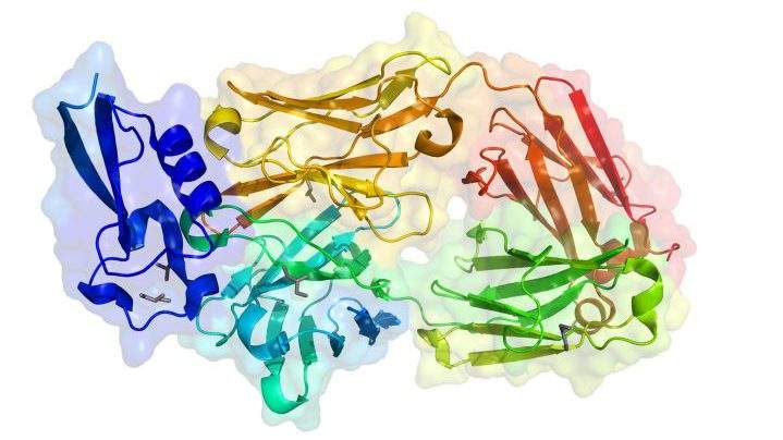 An image of the one thousandth protein structure solved at the Canadian Light Source.