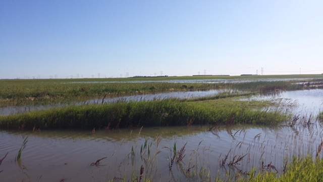 A photo of James Farley’s flooded field from July 2015.