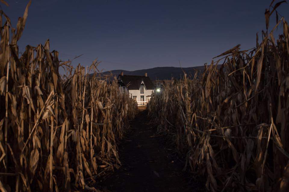 Schubert House though the corn maze at the O'Keefe Ranch.