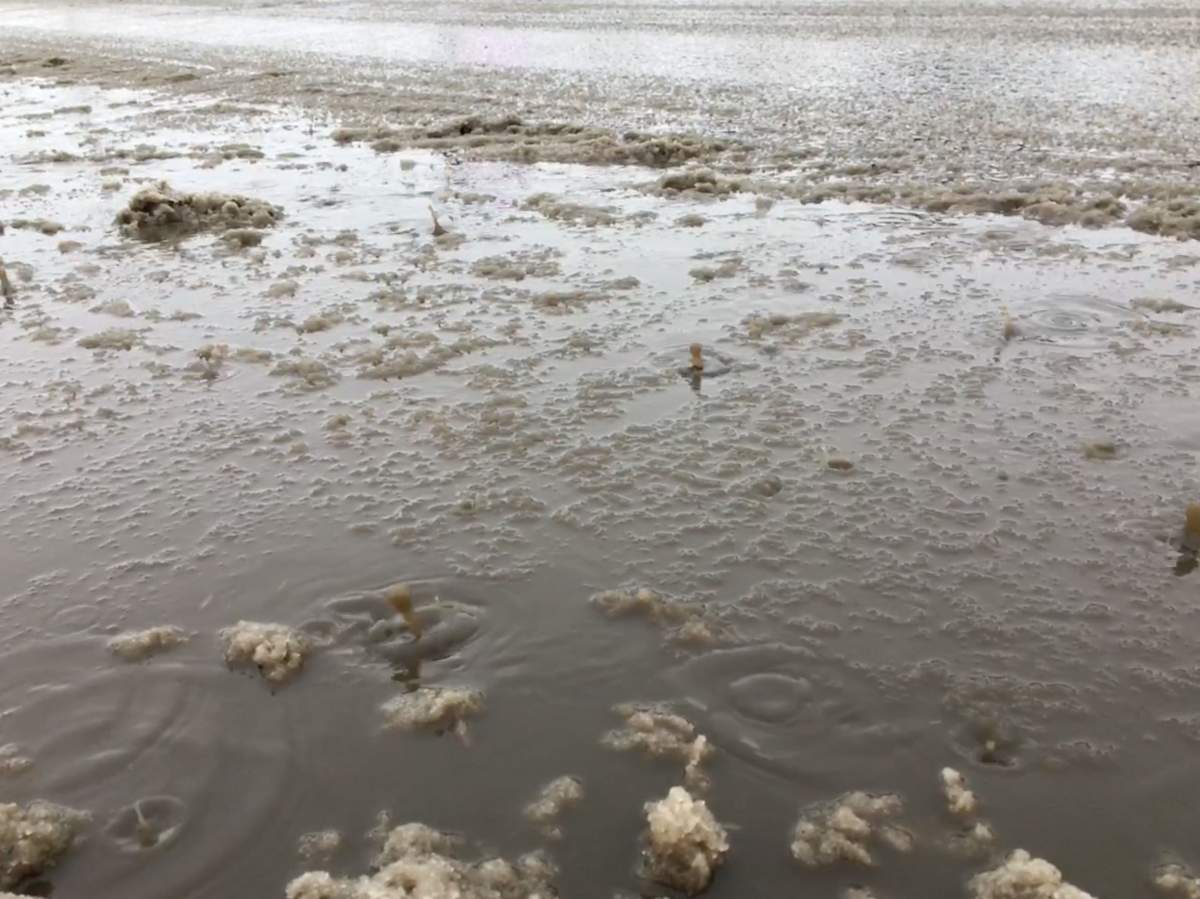 Environment Canada issues a freezing rain warning for Montreal.Saturday, April 14, 2018.