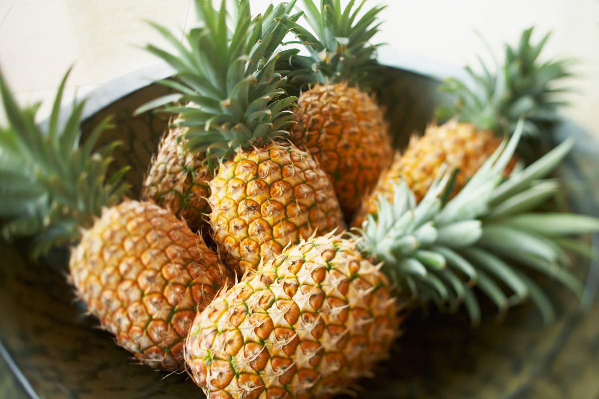 Food you probably don’t need to refrigerate (and ones you do) - image