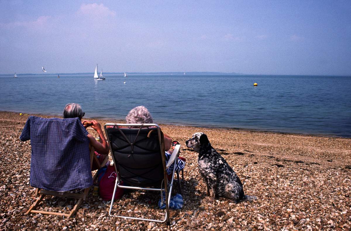 Elderly couple on deckchairs with pet dog look out to sea from Shingle Stone Beach, Isle of Wight.