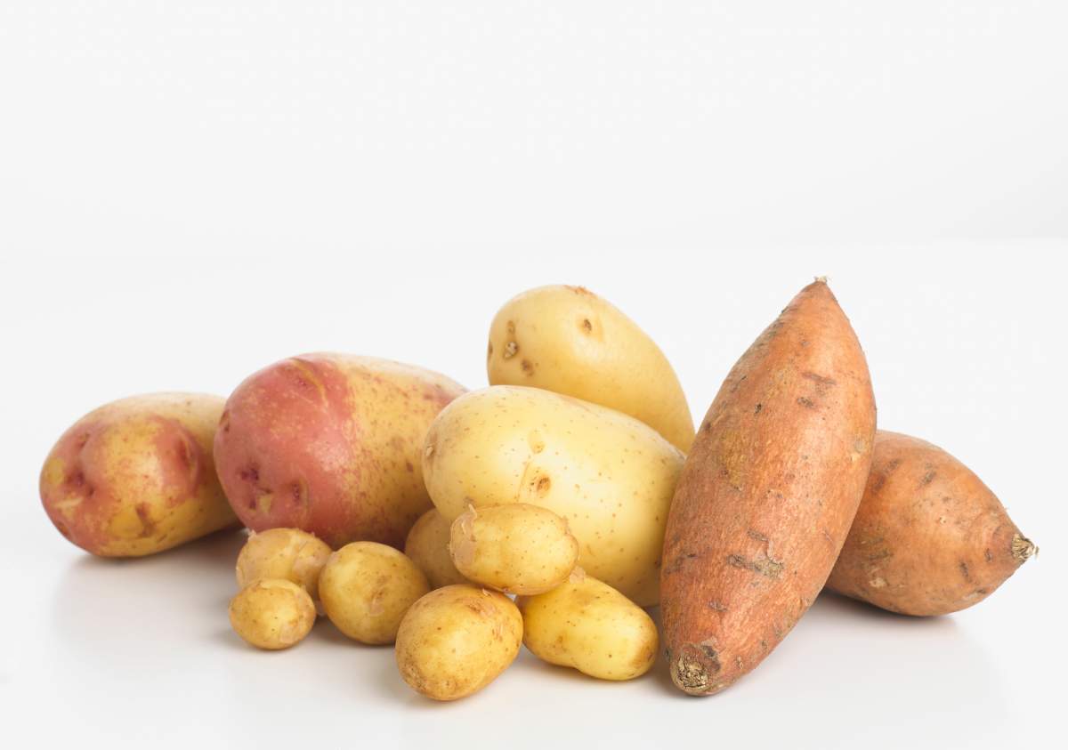 Food you probably don’t need to refrigerate (and ones you do) - image