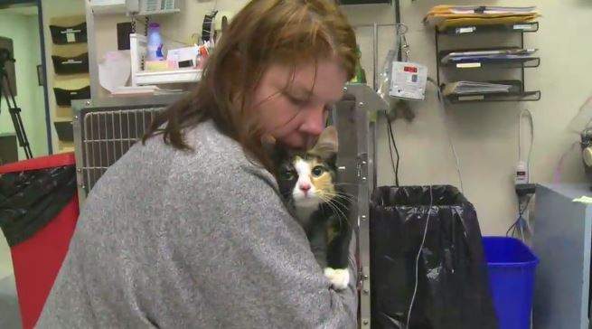 Gigi the cat is now in the care of a veterinarian.