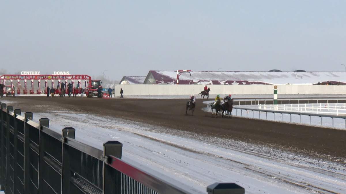 Century Downs Racetrack and Casino. 