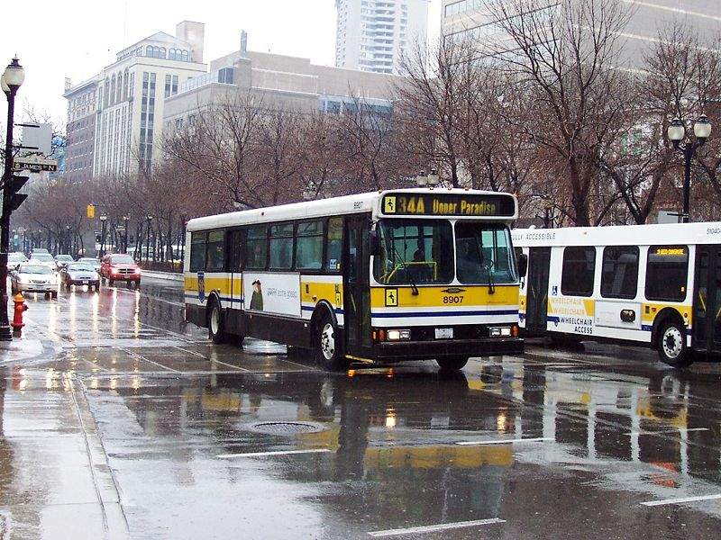 Ward 3 Coun. Nrinder Nann is suggesting a freeze on transit fares through the remainder of the COVID-19 pandemic.