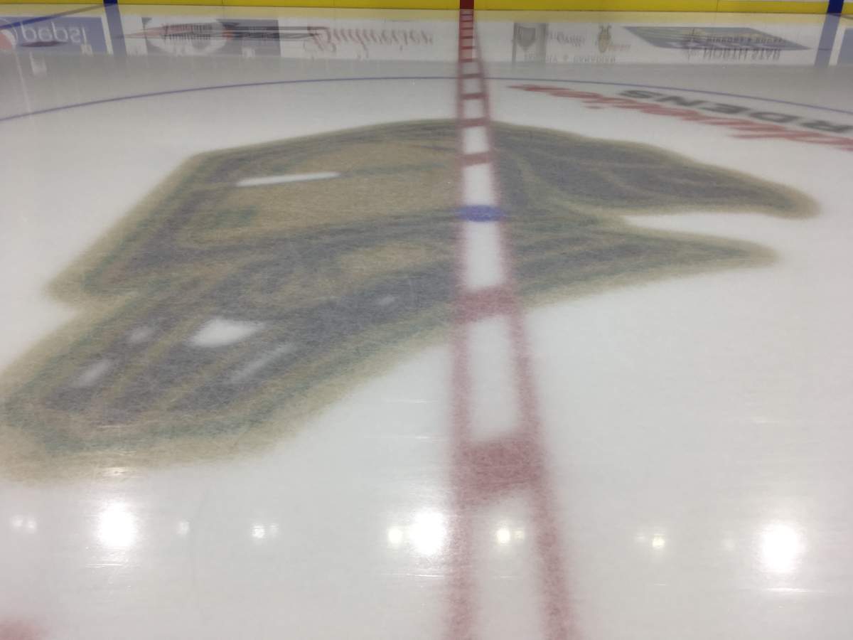 Spirit outlast Knights at Budweiser Gardens - image