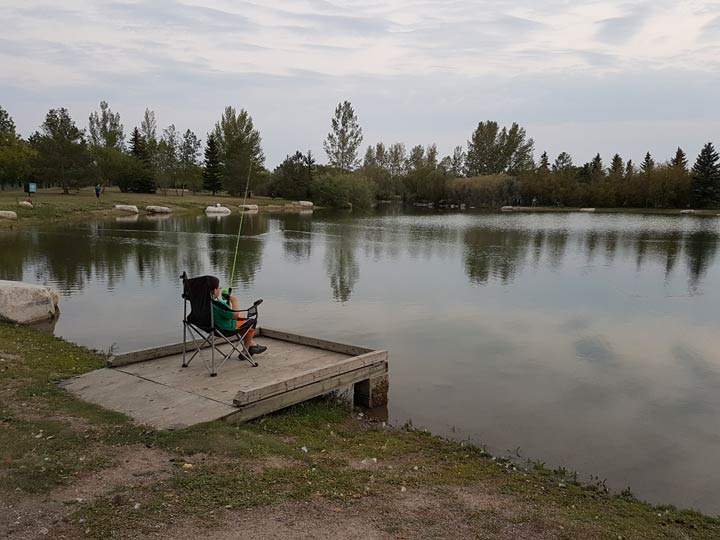 Koreena Jackson took this Nov. 12 Your Saskatchewan photo in Saskatoon.