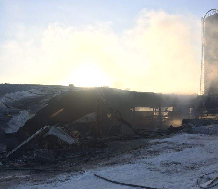 About 130 animals were killed in an early morning fire at Lakeside Dairy Friday, Nov. 17, 2017.