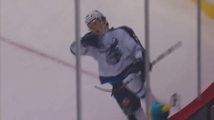 Manitoba Moose forward Mason Appleton celebrates a goal against the Laval Rocket during an AHL game at Bell MTS Place on Nov. 19, 2017.