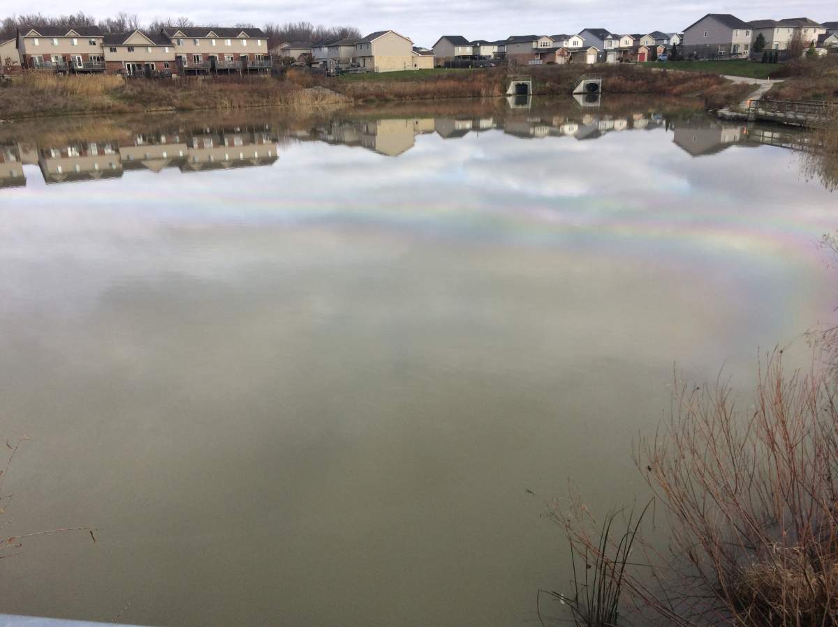 Diesel fuel from a truck at a nearby development spilled into a pond located between Kimball Crescent and Hyde Park Road.