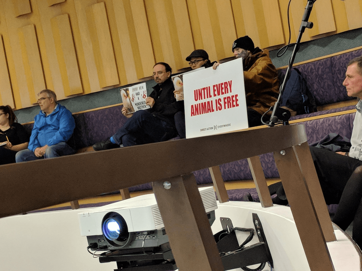A few citizens in the Council Chambers gallery held signs expressing opposition to a potential backyard chicken pilot project in London on November 6, 2017.