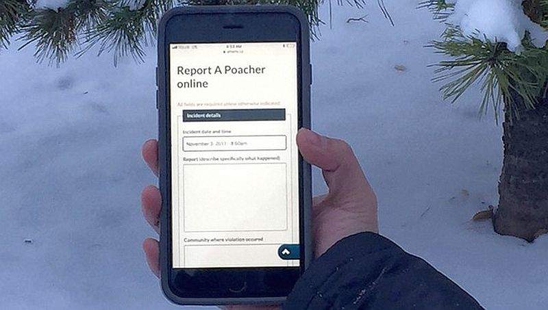 Report suspicious or illegal hunting and fishing activity, dangerous wildlife encounters and serious public lands abuse by phone or online.