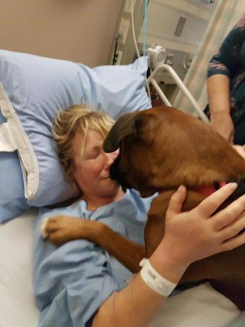 Roxy nuzzles Annette Poitras, the dog walker who went missing in November 2017 before she was rescued of Coquitlam’s Eagle Mountain.