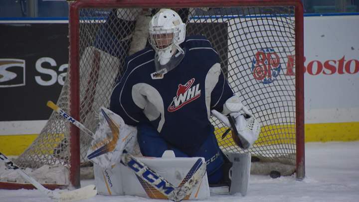 The Saskatoon Blades have called up goaltending prospect Nolan Maier (pictured), release goalie Joel Grzybowski.